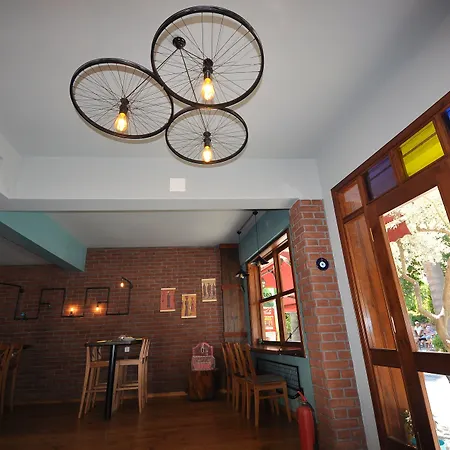 Queen Bee B&B 셀주크