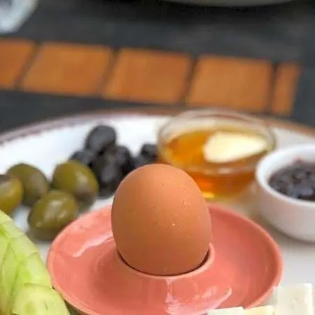 Queen Bee Bed and Breakfast Σελτσούκ